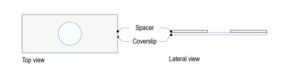 cherrytemp-Protocol-Drosophila-larva_Fig-01