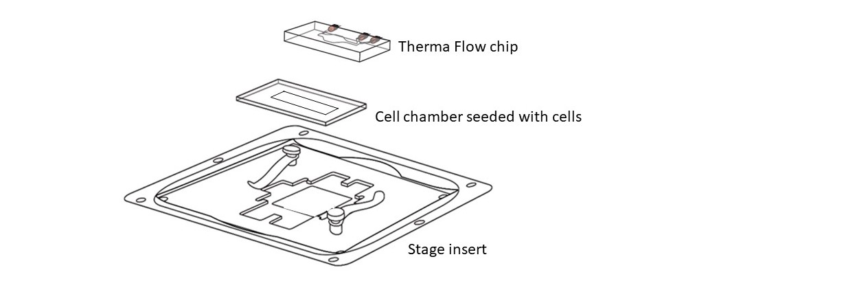 Step 4: Therma Flow chip assembly
