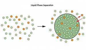 Cherry-biotech-phase-separation-graphic