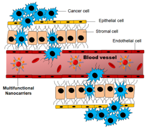 Tumor_targeting