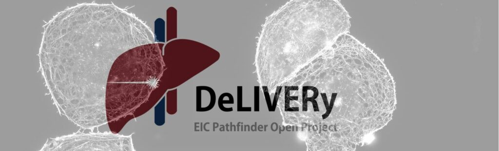 DeLIVERy - EIC Patchfiner Open Project