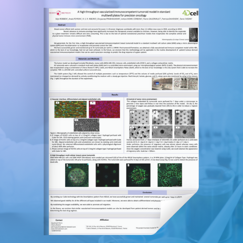 Breast Cancer 3D in Vitro Organ Model - Cherry Biotech