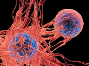 cherry-biotech_3D_breast_cancer_cells