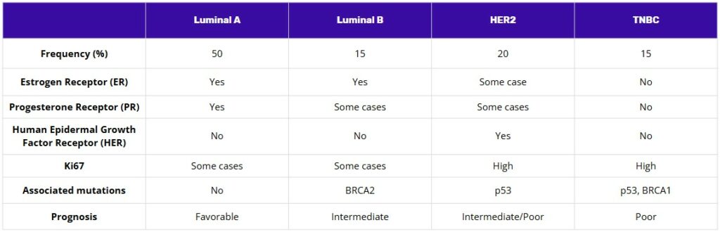 A formatted table summarising the main breast-cancer subtypes (Luminal A, Luminal B, HER2-enriched, Triple-negative/basal-like, and Normal-like). For each subtype the table lists typical immunohistochemical profile (ER, PR, HER2, Ki-67), common genomic features, approximate prevalence, usual grade, typical clinical behaviour, and preferred first-line systemic therapies.