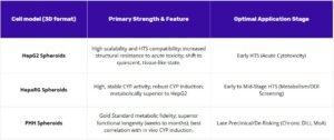 Table comparing 3D liver cell models and their best uses. Rows: HepG2 spheroids: high scalability/HTS-ready, greater structural resistance, shift to quiescent tissue-like state; optimal for early HTS (acute cytotoxicity). HepaRG spheroids: high, stable CYP activity with robust induction; metabolically superior to HepG2; optimal for early–mid HTS (metabolism/DDI screening). PHH spheroids: gold-standard metabolic fidelity and weeks-long functional longevity; best correlation with in vivo CYP induction; optimal for late preclinical de-risking (chronic DILI, MoA).