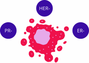 Diagram of a triple-negative breast cancer cell showing absence of ER, PR, and HER2 receptors, representing the defining features of TNBC and its lack of conventional therapeutic targets.