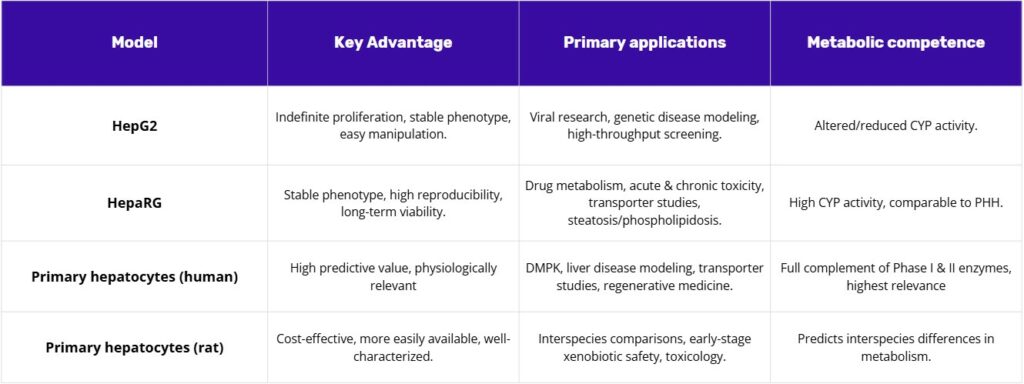 Table comparing in vitro liver models HepG2, HepaRG, primary human hepatocytes, and primary rat hepatocytes, highlighting key advantages, primary applications, and metabolic competence.