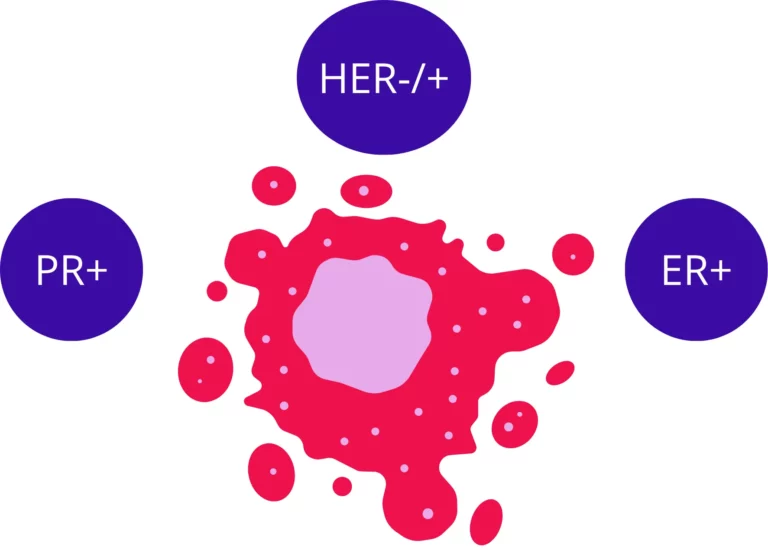 Illustration of a hormone receptor–positive breast cancer cell with ER-positive, PR-positive, and HER2-negative or low markers.