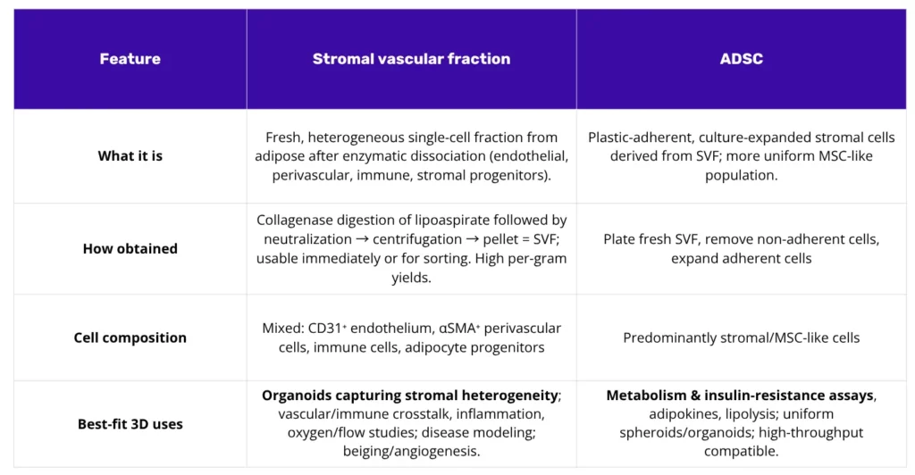Comparison of SVF vs ADSC in 3D adipose models: SVF—heterogeneous cells from digested fat, suited to organoid heterogeneity; ADSC—expanded adherent cells for metabolic assays.