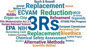 Word cloud illustration centered on the "3Rs" (Replacement, Reduction, Refinement), surrounded by key terms in alternative testing such as FDA Modernization Act 2.0, Organ-on-Chip, NAMs, ECVAM, and Bioethics.