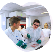 Cherry-Biotech-3D-invitro-CRO-service.png